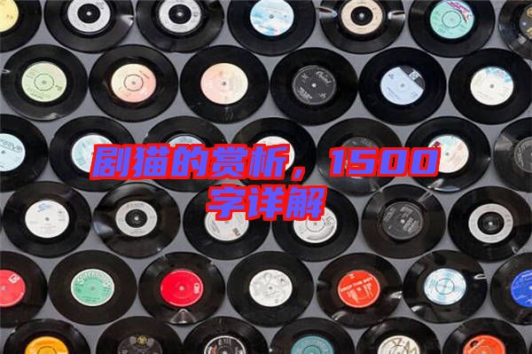 劇貓的賞析，1500字詳解