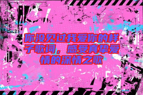 你沒見過(guò)我愛你的樣子歌詞，感受真摯愛情的深情之歌