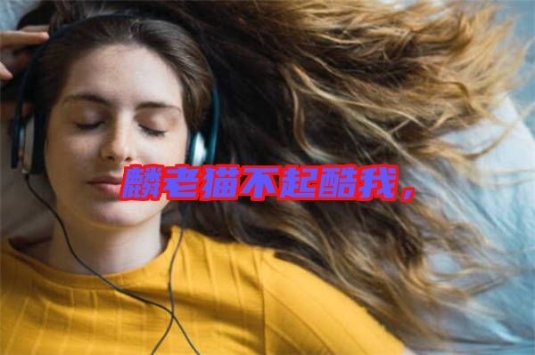 麟老貓不起酷我，