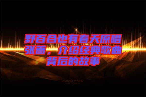 野百合也有春天原唱張薔，介紹經(jīng)典歌曲背后的故事