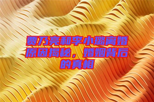 賈乃亮和李小璐離婚原因揭秘，婚姻背后的真相