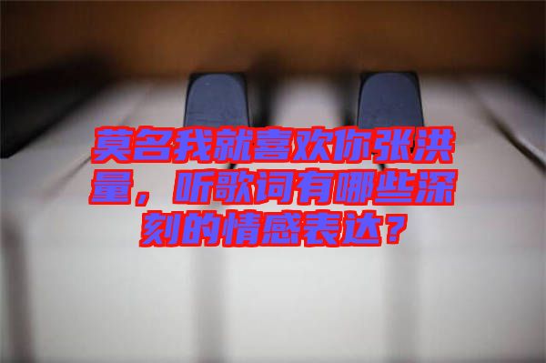 莫名我就喜歡你張洪量，聽歌詞有哪些深刻的情感表達(dá)？