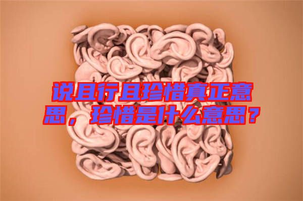 說且行且珍惜真正意思，珍惜是什么意思？