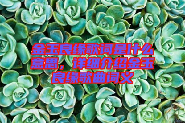 金玉良緣歌詞是什么意思，詳細(xì)介紹金玉良緣歌曲詞義