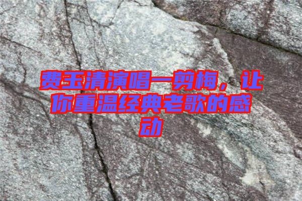 費玉清演唱一剪梅，讓你重溫經(jīng)典老歌的感動