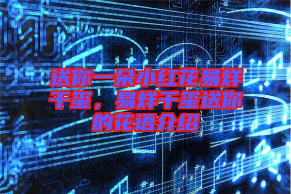 送你一朵小紅花易烊千璽，易烊千璽送你的花語(yǔ)介紹