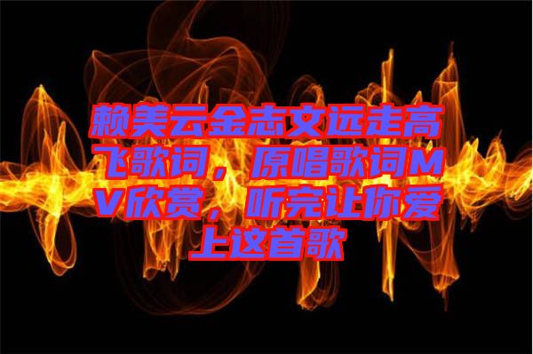 賴美云金志文遠走高飛歌詞，原唱歌詞MV欣賞，聽完讓你愛上這首歌