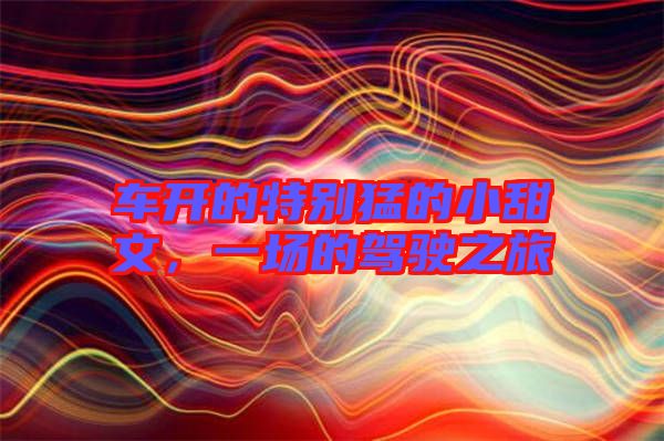 車開的特別猛的小甜文，一場的駕駛之旅