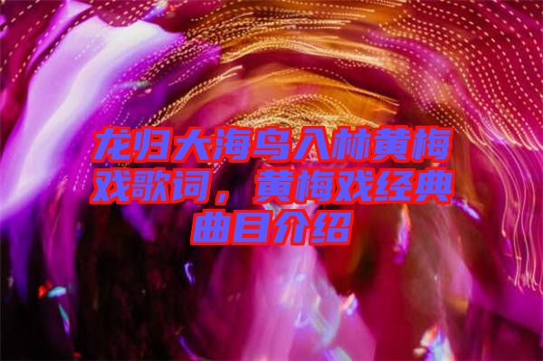 龍歸大海鳥(niǎo)入林黃梅戲歌詞，黃梅戲經(jīng)典曲目介紹