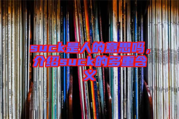 suck是人的意思嗎，介紹suck的多重含義