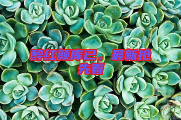 醉紅顏庫已，最新?lián)屜瓤? width=