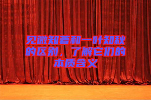 見微知著和一葉知秋的區(qū)別，了解它們的本質(zhì)含義