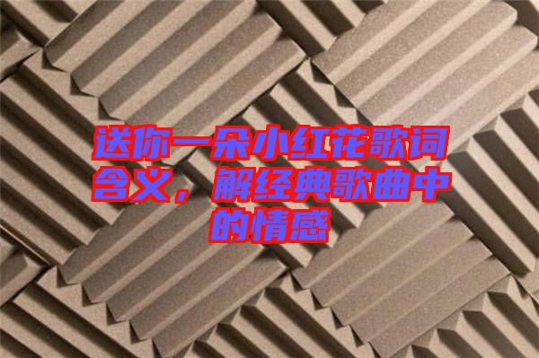 送你一朵小紅花歌詞含義，解經(jīng)典歌曲中的情感