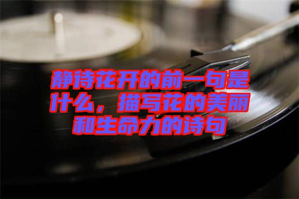 靜待花開的前一句是什么，描寫花的美麗和生命力的詩(shī)句