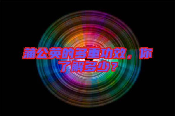 蒲公英的多重功效，你了解多少？