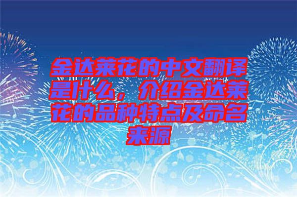 金達(dá)萊花的中文翻譯是什么，介紹金達(dá)萊花的品種特點(diǎn)及命名來源