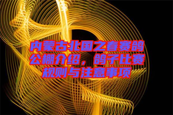 內(nèi)蒙古北國之春賽鴿公棚介紹，鴿子比賽規(guī)則與注意事項