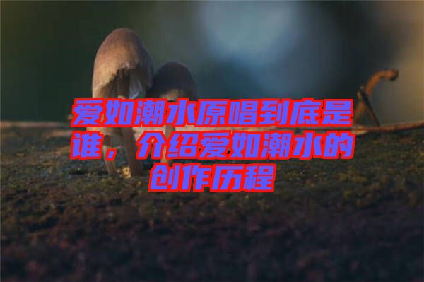 愛如潮水原唱到底是誰，介紹愛如潮水的創(chuàng)作歷程