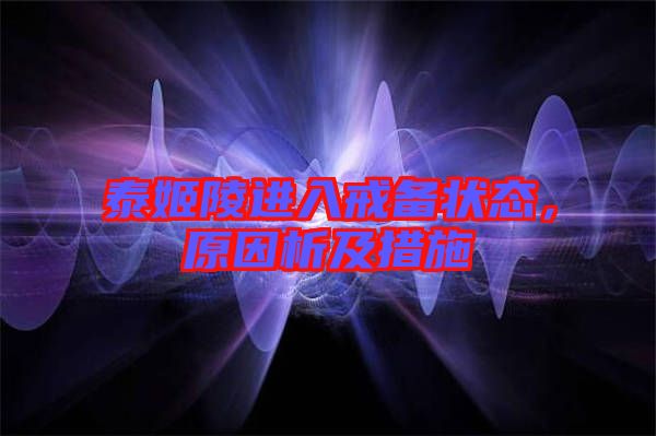 泰姬陵進入戒備狀態(tài)，原因析及措施