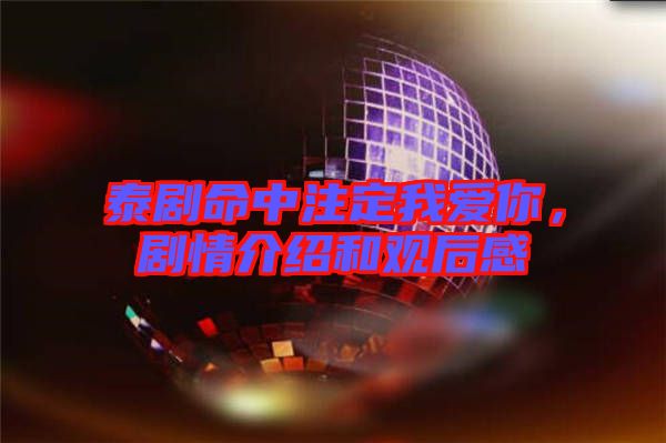 泰劇命中注定我愛你，劇情介紹和觀后感