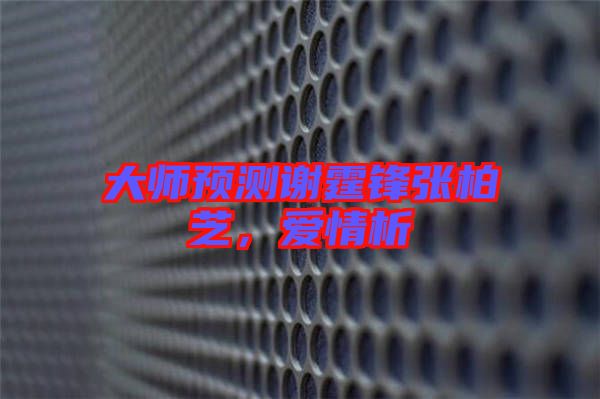 大師預(yù)測謝霆鋒張柏芝，愛情析