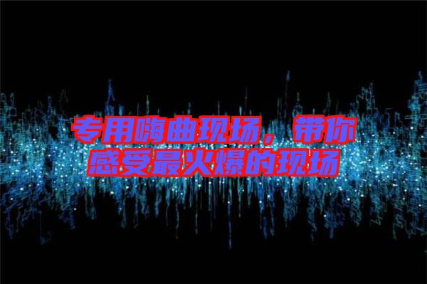 專用嗨曲現(xiàn)場(chǎng)，帶你感受最火爆的現(xiàn)場(chǎng)