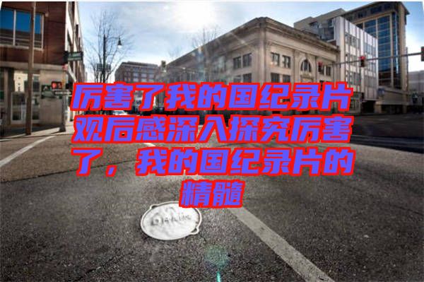 厲害了我的國(guó)紀(jì)錄片觀后感深入探究厲害了，我的國(guó)紀(jì)錄片的精髓