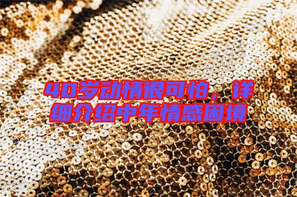 40歲動(dòng)情很可怕，詳細(xì)介紹中年情感困境