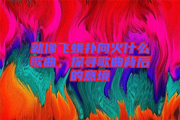就像飛蛾撲向火什么歌曲，探尋歌曲背后的意境