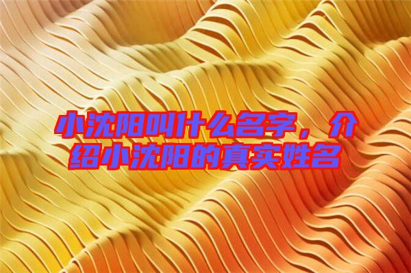 小沈陽叫什么名字，介紹小沈陽的真實姓名