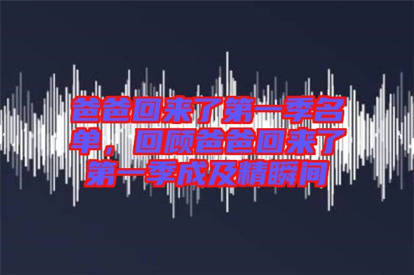 爸爸回來了第一季名單，回顧爸爸回來了第一季成及精瞬間