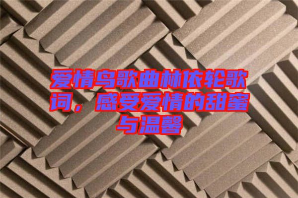 愛情鳥歌曲林依輪歌詞，感受愛情的甜蜜與溫馨