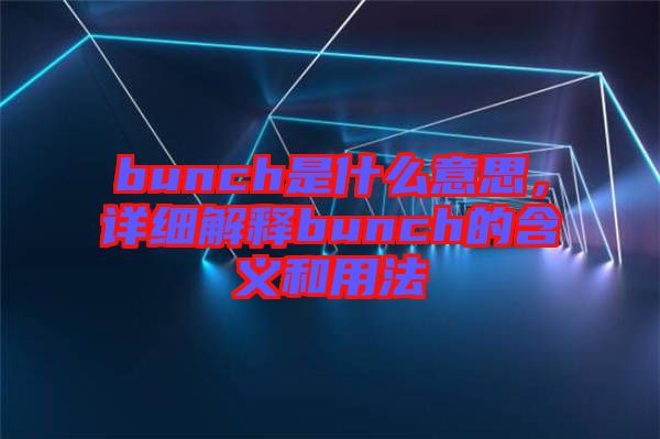 bunch是什么意思，詳細解釋bunch的含義和用法