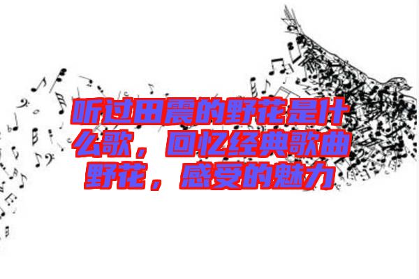 聽(tīng)過(guò)田震的野花是什么歌，回憶經(jīng)典歌曲野花，感受的魅力