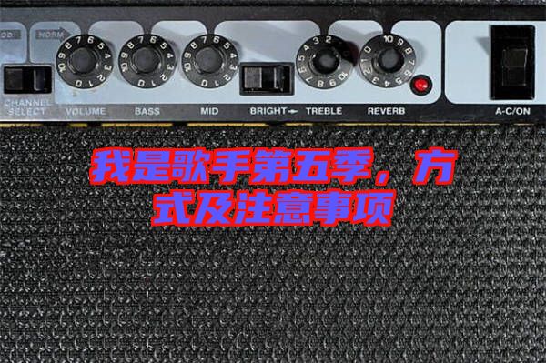 我是歌手第五季，方式及注意事項(xiàng)