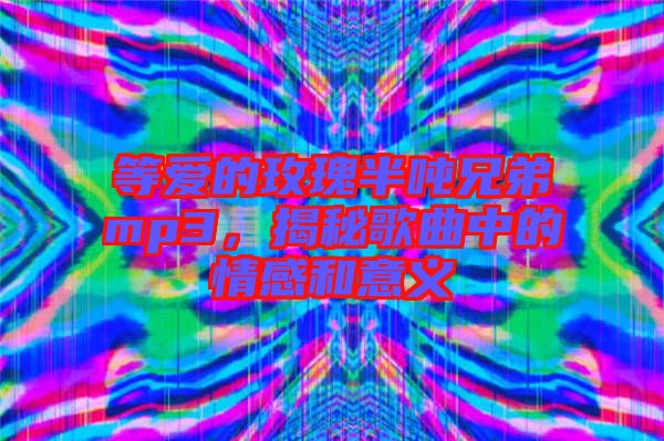 等愛的玫瑰半噸兄弟mp3，揭秘歌曲中的情感和意義