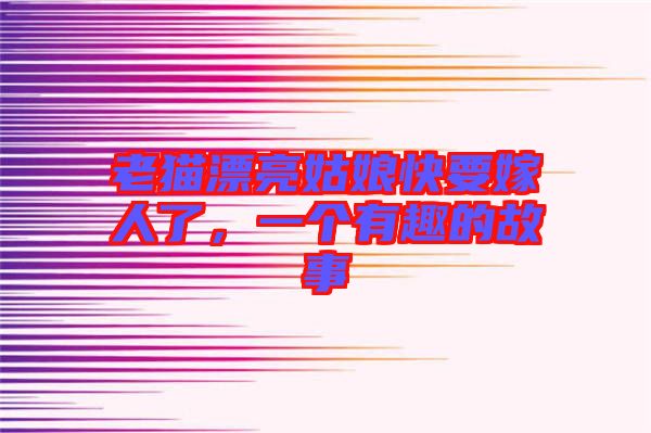老貓漂亮姑娘快要嫁人了，一個(gè)有趣的故事
