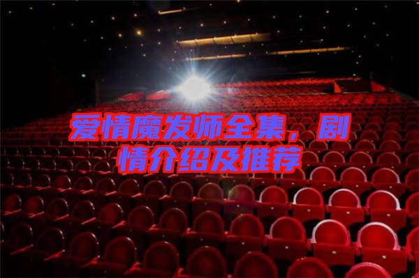 愛情魔發(fā)師全集，劇情介紹及推薦