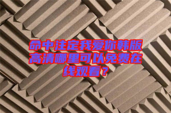 命中注定我愛你韓版高清哪里可以免費(fèi)在線觀看？