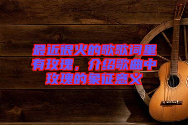 最近很火的歌歌詞里有玫瑰，介紹歌曲中玫瑰的象征意義