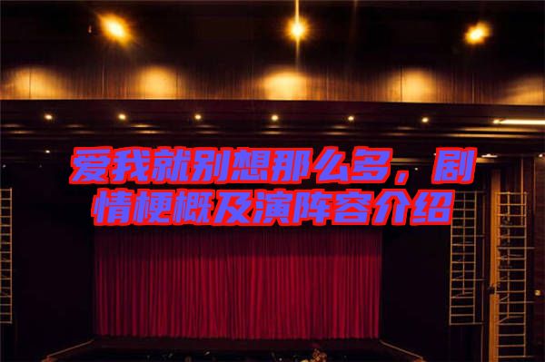 愛(ài)我就別想那么多，劇情梗概及演陣容介紹