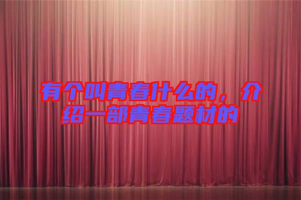 有個叫青春什么的，介紹一部青春題材的