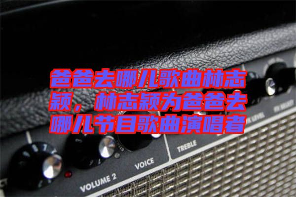 爸爸去哪兒歌曲林志穎，林志穎為爸爸去哪兒節(jié)目歌曲演唱者