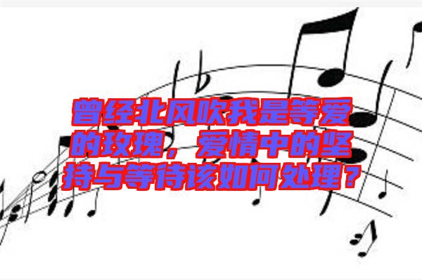 曾經(jīng)北風吹我是等愛的玫瑰，愛情中的堅持與等待該如何處理？