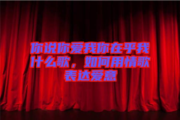你說(shuō)你愛(ài)我你在乎我什么歌，如何用情歌表達(dá)愛(ài)意