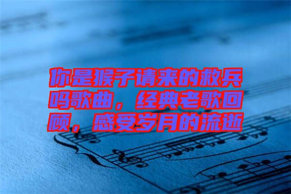你是猴子請來的救兵嗎歌曲，經(jīng)典老歌回顧，感受歲月的流逝