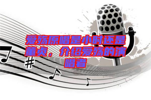 愛殤原唱是小時還是董貞，介紹愛殤的演唱者