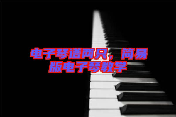 電子琴譜兩只，簡易版電子琴教學