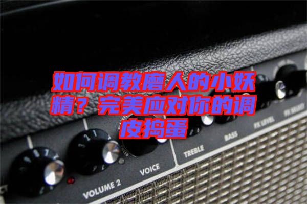 如何調(diào)教磨人的小妖精？完美應(yīng)對你的調(diào)皮搗蛋