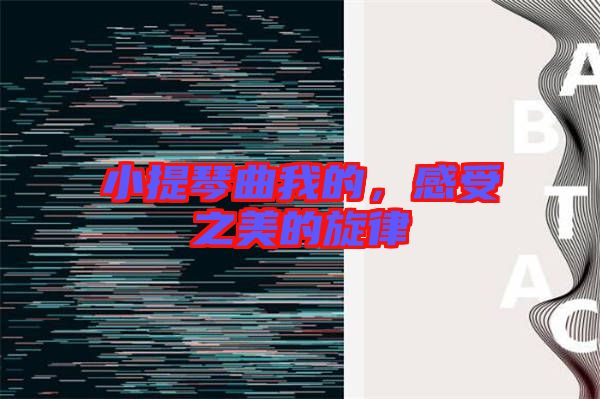 小提琴曲我的，感受之美的旋律